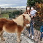 Visite des animaux de la résidence