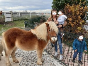 Visite des animaux de la résidence